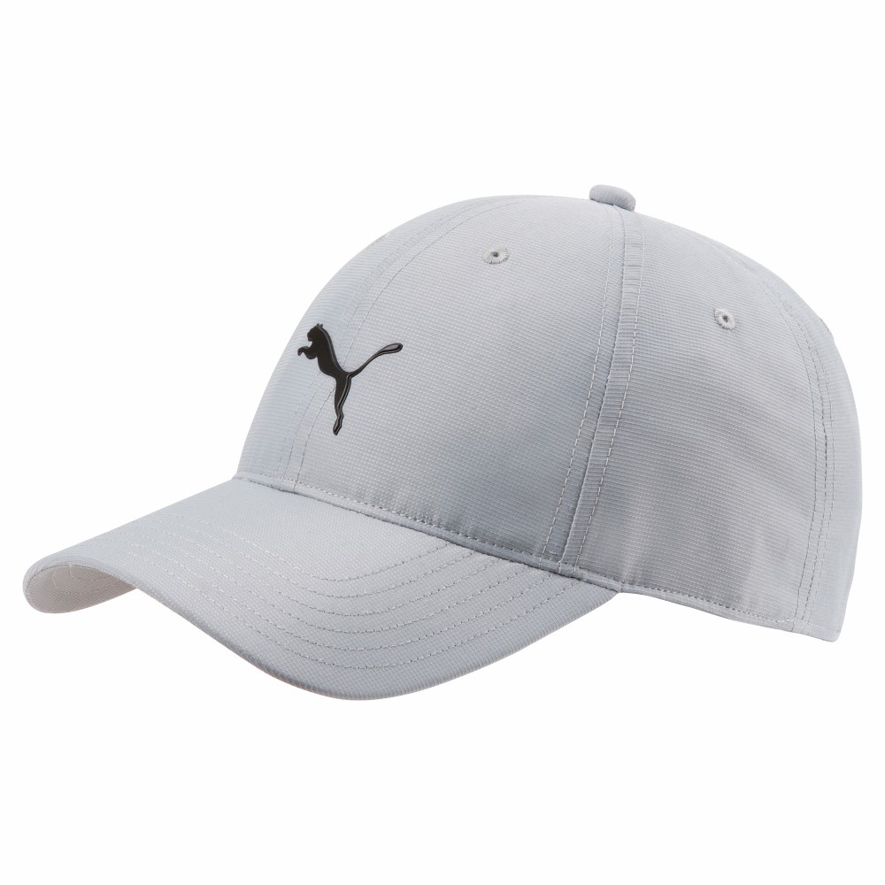 Puma Pounce Adjustable Men's Quarry Cap